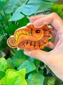 Cute orange seahorse hair claw clip with yellow stripes for women's ocean style hair accessory - Seahorse