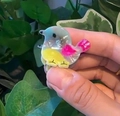 Mini bird shaped acrylic hair claw clip with colorful marble pattern and sequins - Blue Yellow Spliced Bird (4)