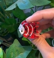 Mini red acrylic fish hair clip with black and white tropical patterns for women - Red Black Striped Tropical Fish (5)
