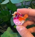 Acrylic bird-shaped hair clip with colorful mosaic pattern and glossy finish - Pink Purple Floral Bird (6)