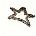 Macro detail of star-shaped leopard print hair claw clip with golden metal spring - Star Style