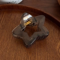 Pince à cheveux étoile en résine gris fumé translucide avec ressort doré brillant - Noir transparent