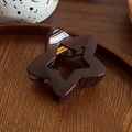 Pince à cheveux minimaliste en forme d'étoile marron foncé avec finition brillante - Café Transparent