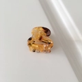 Mini-Haarklammer aus Acetat mit klassischem Bernstein-Schildpatt-Muster für Damen - 2.6cm / Bernsteingelb
