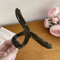 Pinza per capelli ambra traslucida con molla in metallo e finitura in resina liscia - Grigio