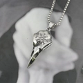 Collier pendentif crâne de corbeau viking en acier inoxydable vintage avec symbole Vegvisir - Pendentif + Chaîne Assortie