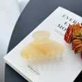 Elegante molletta per capelli in acetato giallo pallido per chignon su libro bianco - Medio / Beige Iridescente
