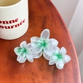 Pinza para el pelo con flores de frangipani translúcidas y degradado verde con mate - Grande / Verde