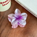 Elegant purple gradient frangipani hair claw clip made of translucent acrylic material - 8cm / Purple