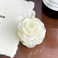 Rosshaarklammer aus Acetat in Creme-Weiß mit Goldschimmer auf elegantem Holztisch - Schillerndes Weiß-4.7cm