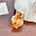 Amber acetate owl hair claw clip with black bead eyes on a rustic wooden surface - Owl Style 3 / Orange