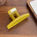 Pinza per capelli minimalista giallo senape texture gelatina per acconciatura elegante - Fermaglio a Una Parola - Verde Acqua - 10.5cm