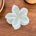 Blaue cremefarbene Blumen-Haarklammer mit mattierten Blättern auf rustikalem Holzuntergrund - 7.7cm / Blau