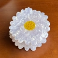 Gänseblümchen Haarklammer aus Acetat mit weißen Perlmutt-Blütenblättern - Weiß (7cm)