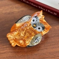 Chic amber acetate owl hair claw clip with sparkling rhinestones on wood background - Coffee - Bowknot
