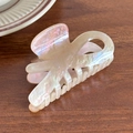 Pince à cheveux élégante en acrylique nacré avec effet pailleté iridescent - Beige Irisé-Ruban