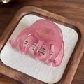 Pink translucent acetate hair claw clip with golden France Handmade mark for elegant styling - Pink