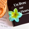 Farbverlauf grüne Frangipani Haarklammer aus hochwertigem Essigsäure Harz Material - Blau-8cm