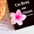 Rosafarbene Haarklammer aus Acetat mit Farbverlauf im Plumeria-Blütendesign für Damen - Rosarote Blume (8cm)