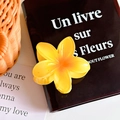Gelbe Frangipani-Haarklammer in Melamin-Optik mit transparentem Finish für Damen - Gelb