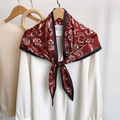 Pañuelo de seda retro con estampado paisley rojo y azul marino en camisa blanca - Rojo
