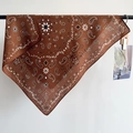 Carré de soie marron vintage à motif Paisley pour femme suspendu sur une barre noire - 68x68cm / Marron
