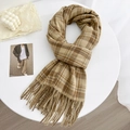Karierter Schal in Erdbraun und Khaki mit Fransen für Herbst und Winter Mode - 65x180cm / Khaki (FXH182)
