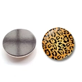Pair of 30mm round leopard print glass fridge magnets showing front and magnetic back - Light Leopard Style (BXT2454-3-(30MM))