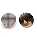 Detailed view of round cat face glass fridge magnet showing magnetic back and glossy front - Grey-white Bright-eyed Cat Style (BXT2437-9-(25MM))