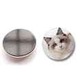 Magnete da frigo tondo in vetro con gatto Ragdoll dagli occhi blu e retro magnetico nero - Stile Gatto Ragdoll (BXT2437-1-(25MM))