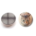 Calamita da frigo in vetro con viso di gatto tigrato marrone e base magnetica - Stile Gatto Tabby (BXT2437-2-(25MM))