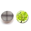 Runder Glas-Kühlschrankmagnet mit grünem Lebensbaum-Design und magnetischer Rückseite - Grüner Lebensbaum (BXT2404-1)