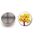 25mm Tree of Life crystal glass fridge magnet with colorful abstract autumn tree patterns - BXT2349-8