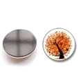 Tree of life glass fridge magnet with autumn maple design and black magnetic back - BXT2349-11