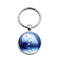 Porte-clés loup blanc avec pendentif en verre rond et anneau métallique argenté - Loup Blanc sous le Clair de Lune Bleu (XSWX8463-5)