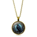 Vintage Bronze Halskette mit einem gothischen Raben Kunst Glasdome Anhänger für Damen - Antik-Bronze Stil 5