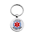 Medische waarschuwingshond sleutelhanger met levensster symbool voor diabetes waarschuwing - Xswx6897-3