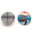 Dettaglio del magnete tondo da 25mm con fronte in vetro e retro magnetico nero opaco - Stile Tartaruga Luce al Tramonto (XSWX6752-7-(25MM))