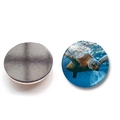 25mm Schildkröte Kühlschrankmagnet aus Glas mit weichem Magnet für die Dekoration - Korallenriff-Schildkröten-Stil (XSWX6752-4-(25MM))