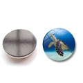 25mm Kristallglas Kühlschrankmagnet mit Meeresschildkröte Motiv für Heimdekorationen - Heller Ökologischer Schildkröten-Stil (XSWX6752-3-(25MM))