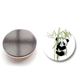 Cute panda glass magnet for refrigerator and whiteboard home decor 30mm - Panda Climbing Bamboo Style C (XSWX6750-12-(25MM))