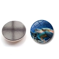 Calamita tonda 25mm in vetro con tartaruga e retro magnetico per frigorifero e lavagne - Stile Tartaruga a Cupola HD (XSWX6752-9-(25MM))