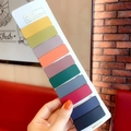 Set of 10 matte rectangular hair clips in vibrant macaron colors on a white display card - Solid Square