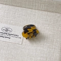 Mini acetate hair claw clip with vintage amber tortoise shell pattern and glossy finish - Leopard Print