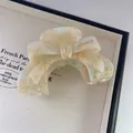 Vue détaillée de la pince à cheveux en acétate vert clair avec motif marbré - Beige