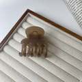 Detail view of coffee translucent resin hair claw clip in an aesthetic wooden display box - Coffee
