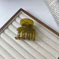 Elegant olive green translucent hair claw clip with a polished finish for women - Olive Green