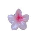 Nahaufnahme der rosa und weißen Harz Frangipani Haarklammer mit Farbverlauf auf weißem Grund - Ca. 4cm / Weiß-Rosa