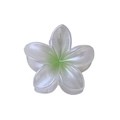 Detailed macro view of plumeria hair claw with green and white gradient pearl finish - Approx. 4cm / White Green
