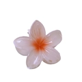 Haarklammer in Form einer rosa-orangen Frangipani-Blüte mit stabilem Metall-Federgriff - Ca. 4cm / Transparent Orange